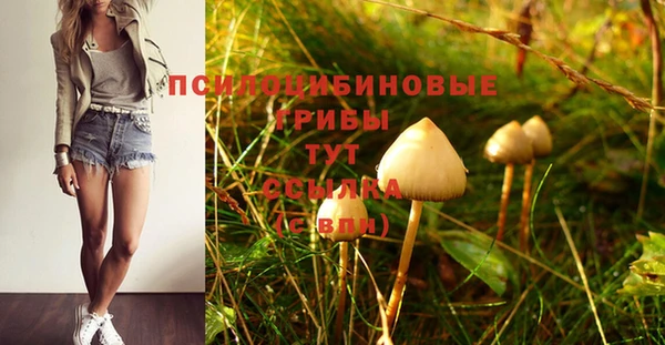 ГАЛЛЮЦИНОГЕННЫЕ ГРИБЫ Нея