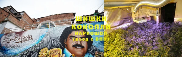 дурь Надым
